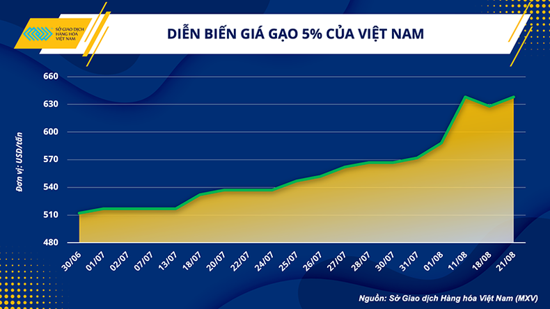 Việt Nam đẩy mạnh xuất khẩu gạo, tiềm năng dẫn đầu làn sóng mới ảnh 1