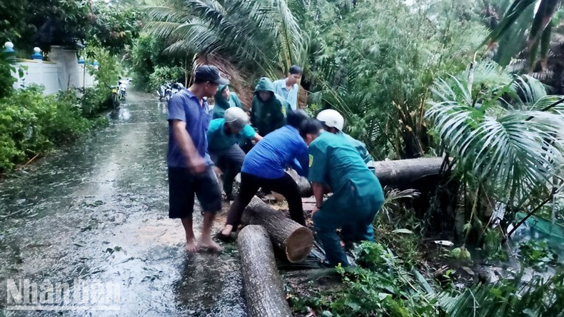 Kiên Giang bị thiệt hại nặng do ảnh hưởng của bão số 1 ảnh 3