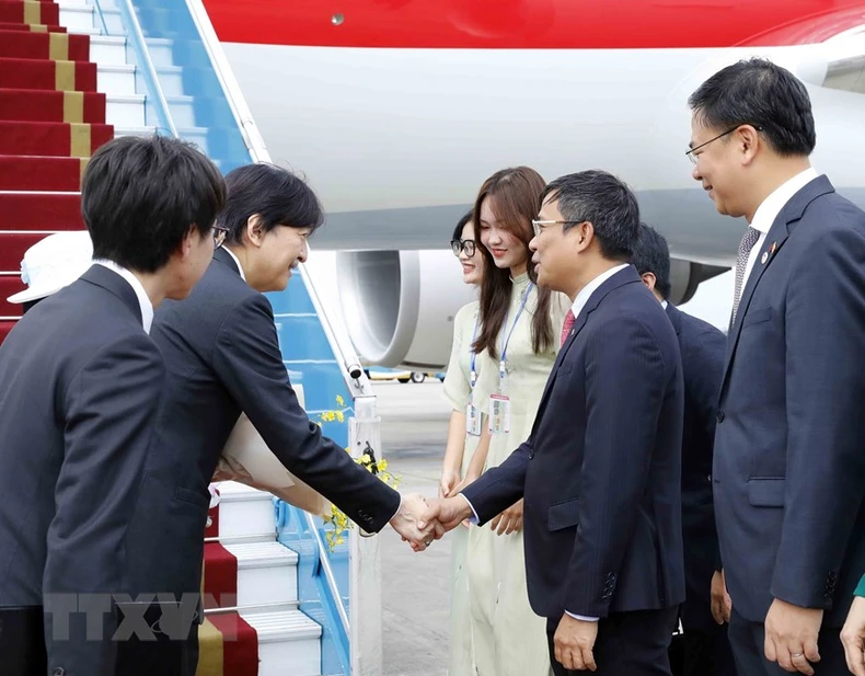[Ảnh] Hoàng Thái tử Nhật Bản và Công nương bắt đầu thăm chính thức Việt Nam ảnh 3