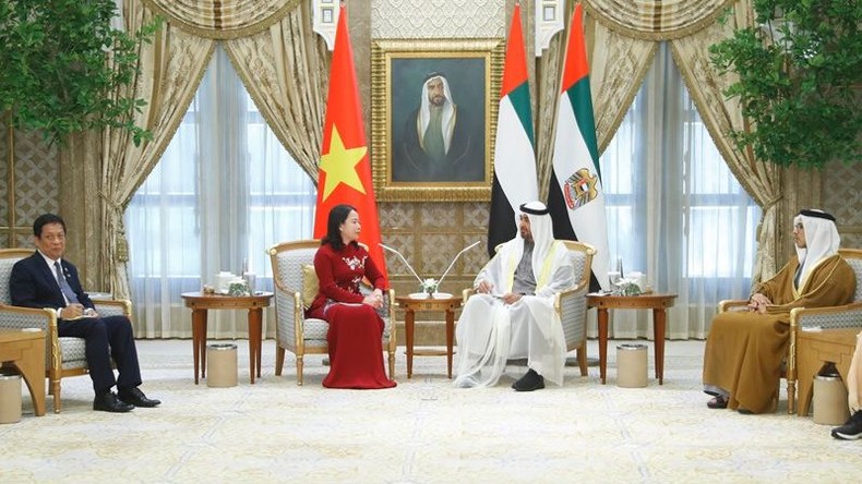Phó Chủ tịch nước Võ Thị Ánh Xuân hội kiến Tổng thống Các Tiểu vương quốc Arab Thống nhất ảnh 1
