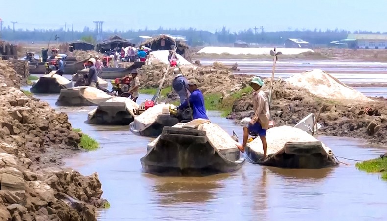 Lấp lánh di sản muối Bạc Liêu ảnh 2