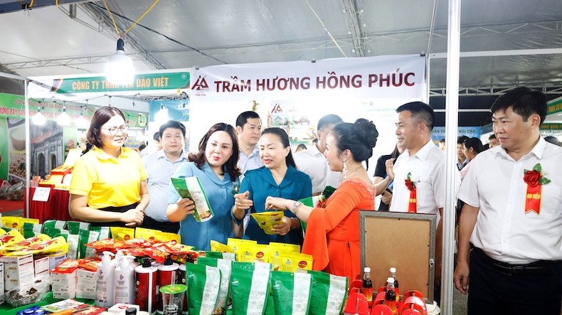 Khai mạc Hội chợ OCOP Quảng Ninh - Thu Đông 2023 ảnh 1