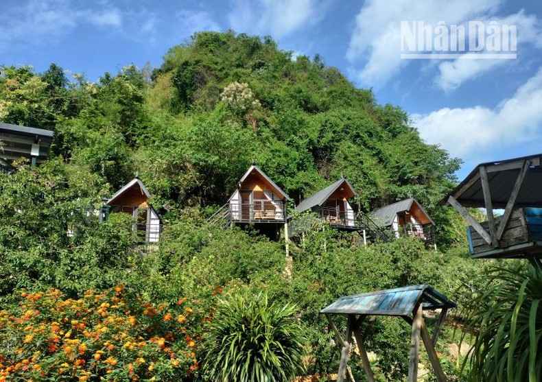 Cần xử lý nghiêm việc xây dựng homestay trái phép ở Mộc Châu ảnh 6