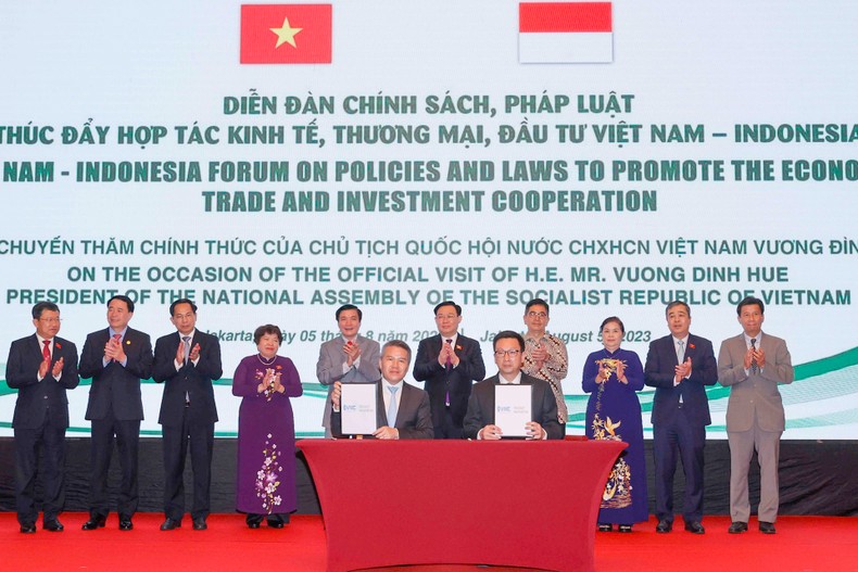 Thúc đẩy hợp tác kinh tế, thương mại, đầu tư giữa Việt Nam-Indonesia đi vào chiều sâu ảnh 2