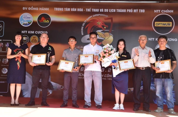 Tiền Giang: Gần 650 hồ cá tham dự giải vô địch cá bảy màu ảnh 3