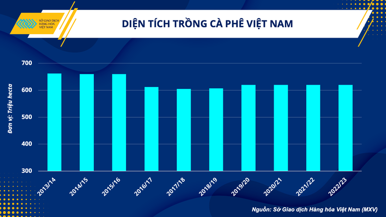 Kim ngạch xuất khẩu cà-phê Việt Nam có cơ hội duy trì mức 4 tỷ USD ảnh 3
