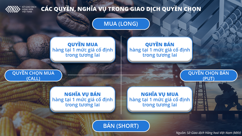 Chuẩn bị giao dịch Hợp đồng quyền chọn hàng hóa tại Việt Nam ảnh 1