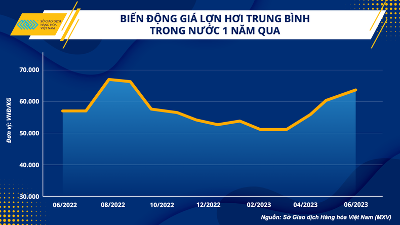 Giá heo hơi tăng mạnh, các doanh nghiệp chăn nuôi dần có lãi ảnh 1