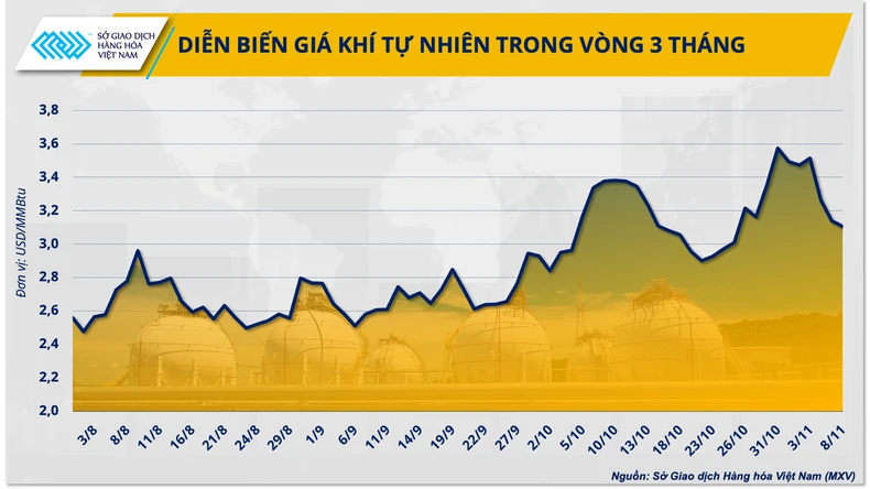 Giá khí thế giới biến động tác động không nhỏ đến mục tiêu điện khí của Việt Nam - Ảnh 1