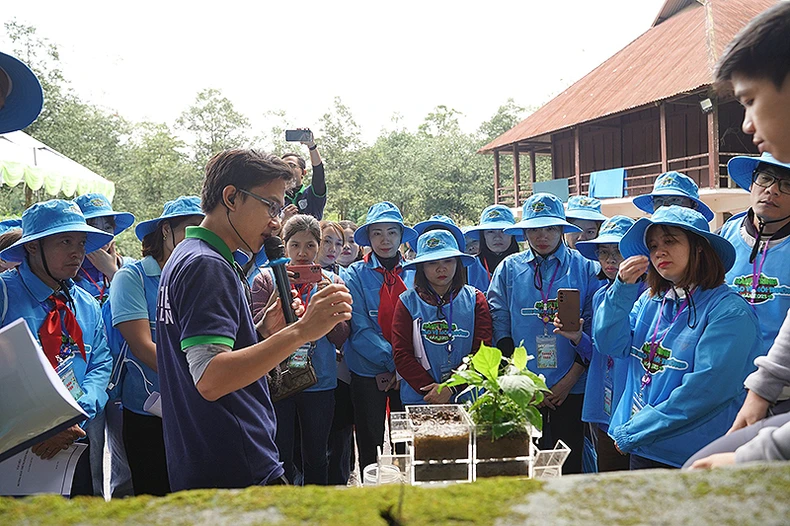 Học sinh tiểu học trải nghiệm "lớp học trong rừng", tập thói quen tiết kiệm nước ảnh 4