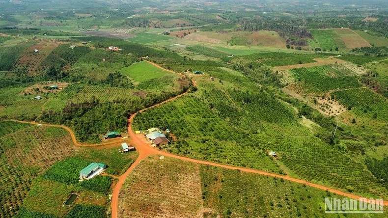 Nâng cao năng lực quản lý nhà nước về đất đai trên địa bàn tỉnh Đắk Nông ảnh 3