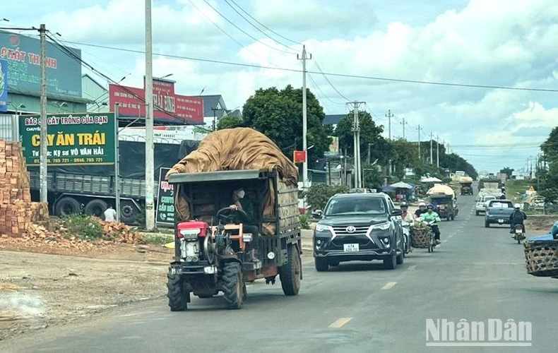 Tai nạn giao thông ở khu vực nông thôn tỉnh Đắk Lắk tăng cao trong tháng cuối năm ảnh 2