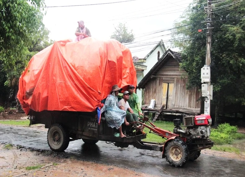 Tai nạn giao thông ở khu vực nông thôn tỉnh Đắk Lắk tăng cao trong tháng cuối năm ảnh 1