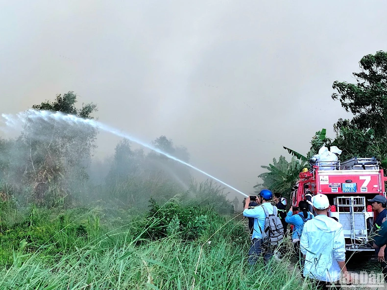 Cơ bản khống chế, dập tắt đám cháy rừng tại Cà Mau ảnh 2