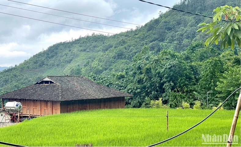 Những ngôi nhà sàn được tu sửa để đón khách đến lưu trú.