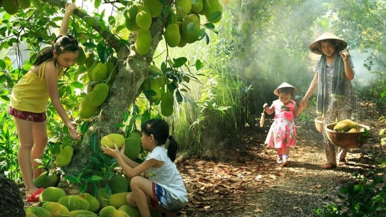 Bình Dương tổ chức Lễ hội Mùa trái chín vào giữa tháng 6 ảnh 3