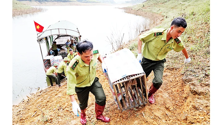 Trở về với tự nhiên ảnh 1