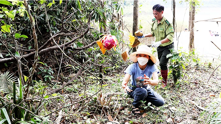 Trở về với tự nhiên ảnh 2