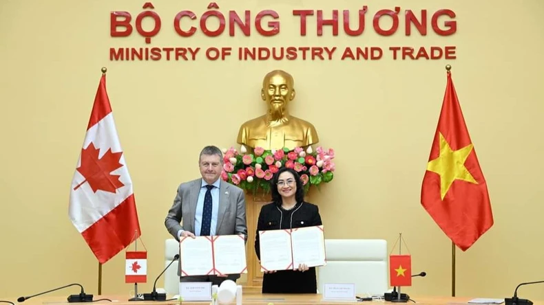 Thúc đẩy hợp tác kinh tế, thương mại, đầu tư giữa Việt Nam và Canada ảnh 3