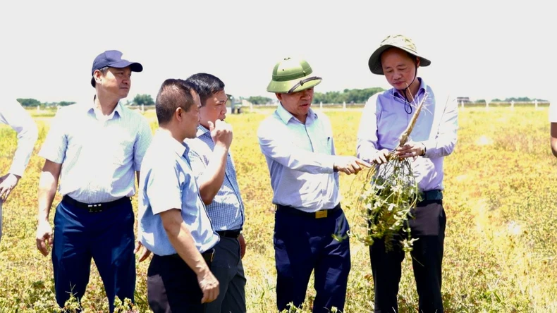 Hà Tĩnh đẩy mạnh ứng dụng khoa học, công nghệ vào các lĩnh vực kinh tế-xã hội ảnh 3