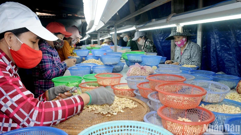 Phú Yên: Ý Đảng, lòng dân trong xây dựng nông thôn mới ảnh 4