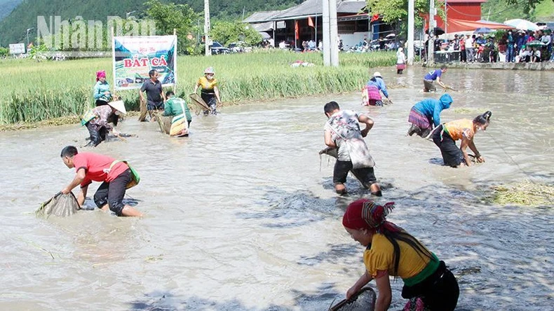 Sơn La: Hàng nghìn người tham gia Lễ hội mừng cơm mới xã Ngọc Chiến ảnh 3