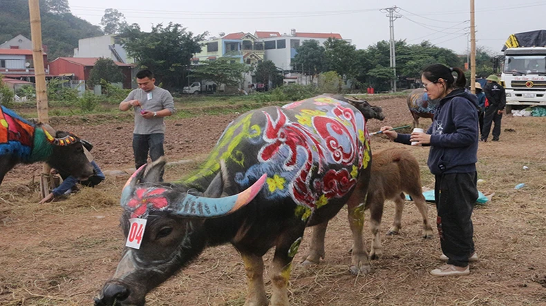 Độc đáo hội thi vẽ trang trí trâu Lễ hội Tịch điền Đọi Sơn ảnh 2