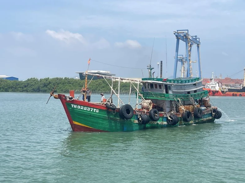 Bắt tàu vận chuyển 80.000 lít dầu D.O trái phép ảnh 1