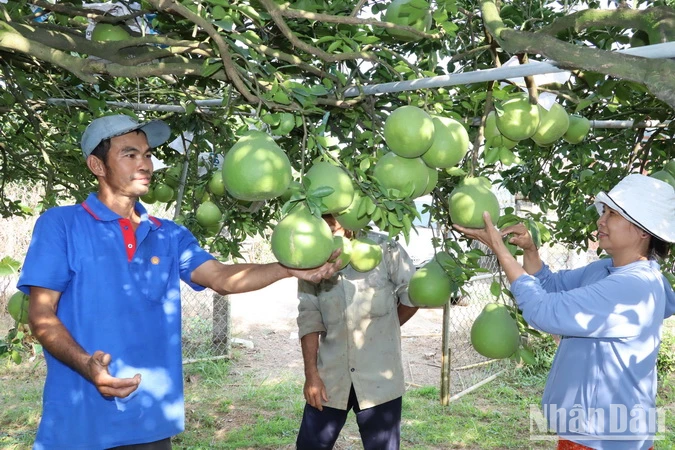 Bài 1: Tạo sức bật vững chắc cho kinh tế nông thôn ảnh 1