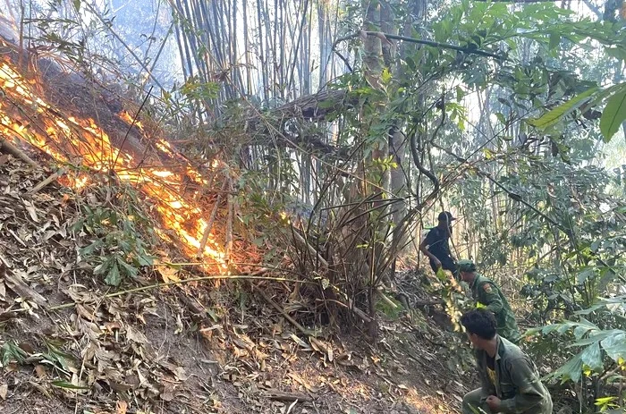 Quảng Bình huy động các lực lượng dập tắt nhiều vụ cháy rừng ảnh 3