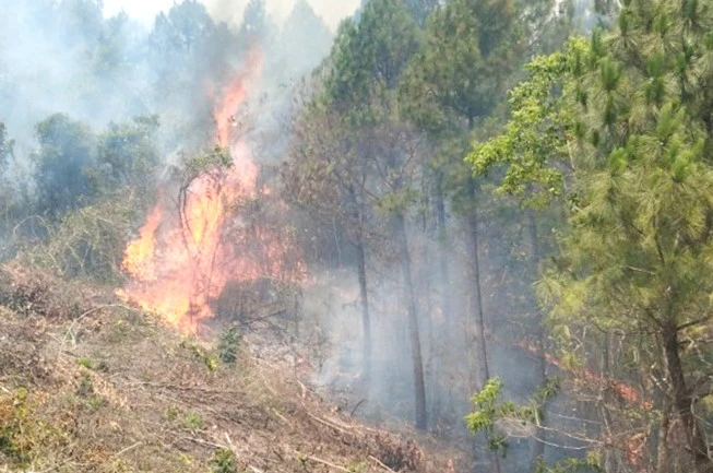 Quảng Bình huy động các lực lượng dập tắt nhiều vụ cháy rừng ảnh 1
