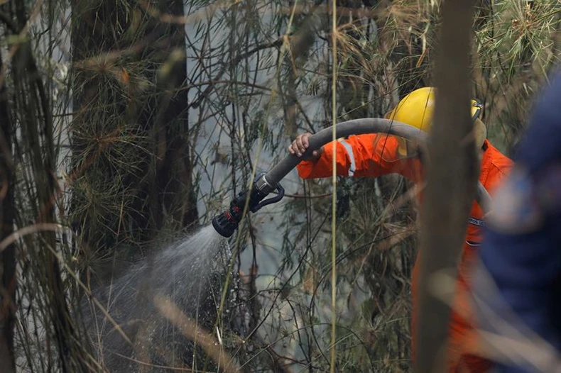Cháy rừng bùng phát kỷ lục tại Venezuela ảnh 2