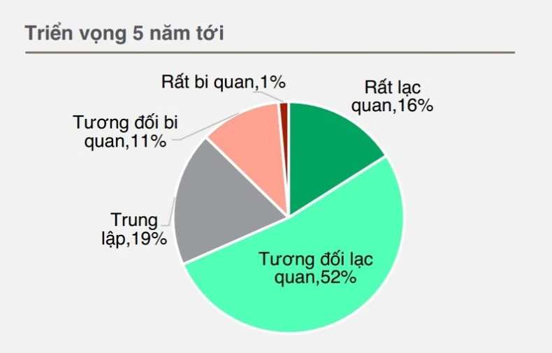 欧洲企业相信越南的长期增长照片2