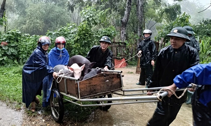 Bộ đội Biên phòng Nghệ An giúp dân ứng phó hoàn lưu bão số 4 ảnh 4