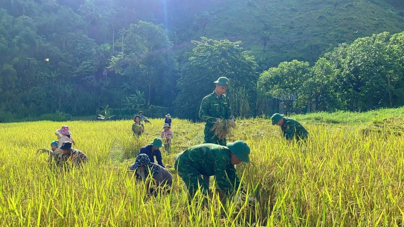 Những mô hình giúp đồng bào dân tộc thiểu số Nghệ An thoát nghèo bền vững ảnh 4