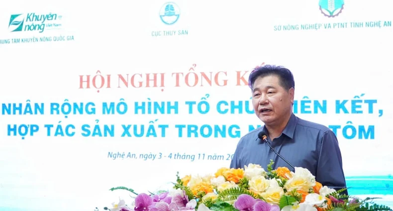 Nhân rộng mô hình tổ chức liên kết, hợp tác sản xuất trong ngành tôm ảnh 2