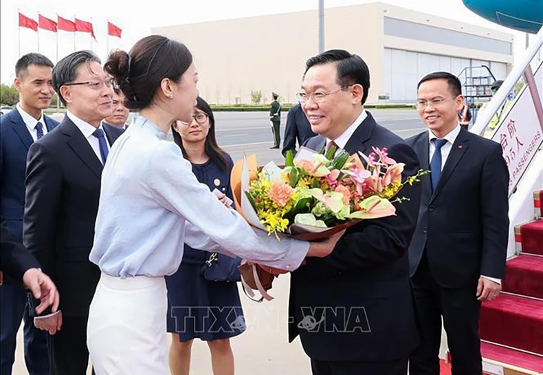 Duy trì đà phát triển tốt đẹp của mối quan hệ Việt Nam-Trung Quốc ảnh 1