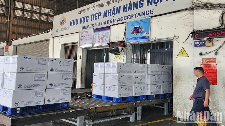 Vietnam Airlines vận chuyển miễn cước 30 tấn vaccine ảnh 2