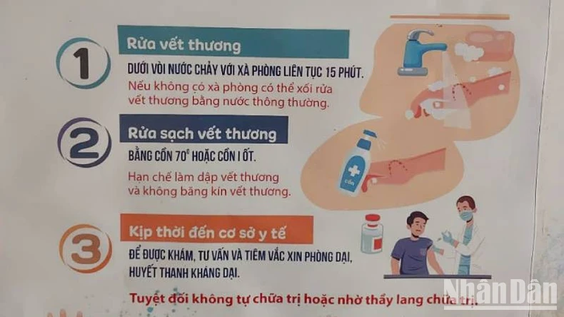 Bị chó mèo cắn, người dân An Giang phải qua tỉnh khác tiêm huyết thanh kháng dại ảnh 1