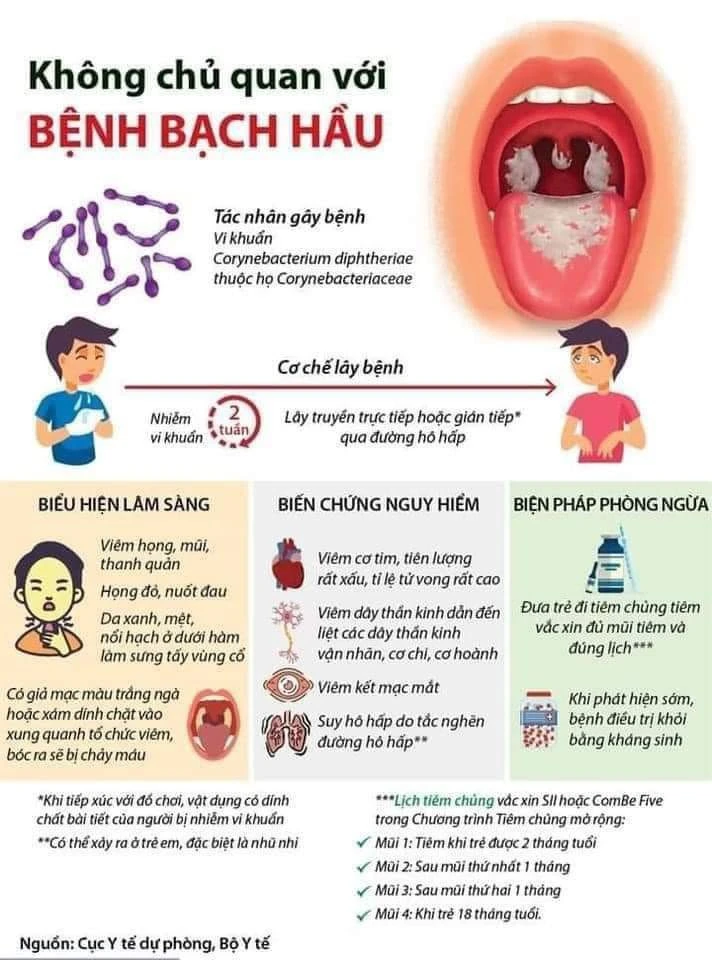 Cách phòng tránh bệnh bạch hầu ảnh 1