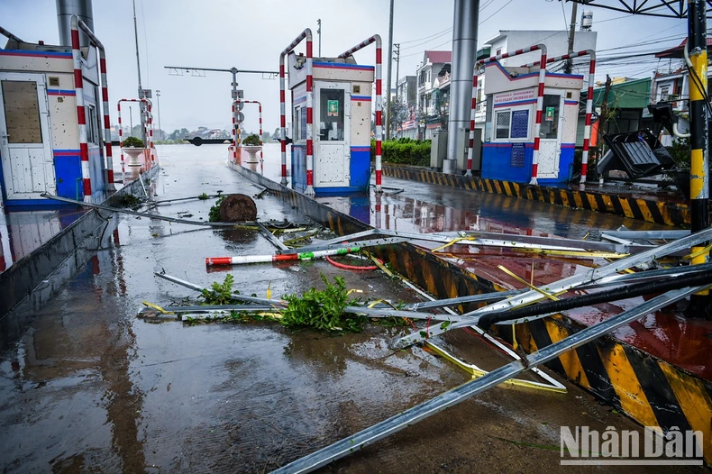 [Live] Bão số 3 đổ bộ Quảng Ninh-Hải Phòng, mái tôn bị thổi bay, cây đổ la liệt ảnh 10