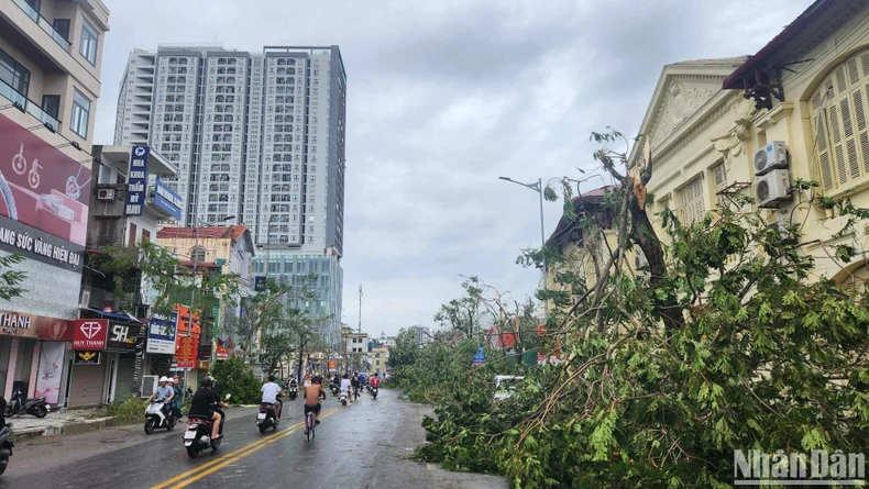 [Live] Khẩn trương khắc phục hậu quả, cứu người mắc kẹt, mất tích trong bão số 3 ảnh 15