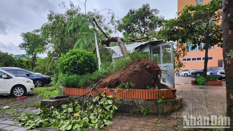 [Live] Khẩn trương khắc phục hậu quả, cứu người mắc kẹt, mất tích trong bão số 3 ảnh 17