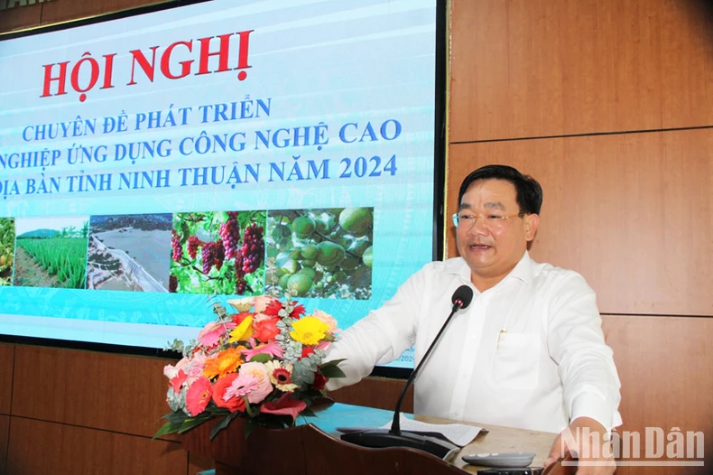 Mở hướng phát triển nông nghiệp ứng dụng công nghệ cao ở Ninh Thuận ảnh 2