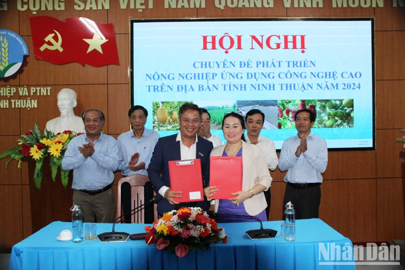 Mở hướng phát triển nông nghiệp ứng dụng công nghệ cao ở Ninh Thuận ảnh 1
