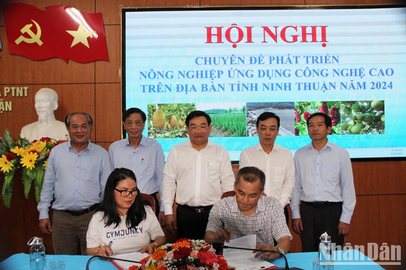 Mở hướng phát triển nông nghiệp ứng dụng công nghệ cao ở Ninh Thuận ảnh 3