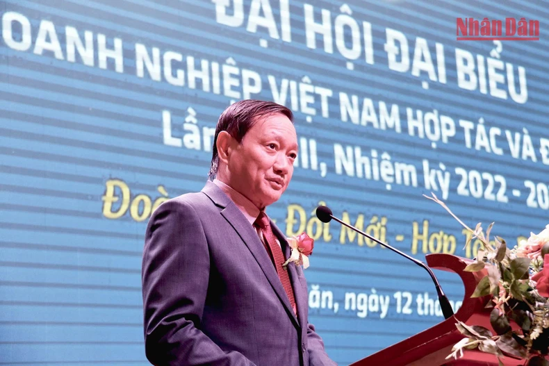 Hội Doanh nghiệp Việt Nam tại Lào đẩy mạnh hợp tác cùng phát triển ảnh 1