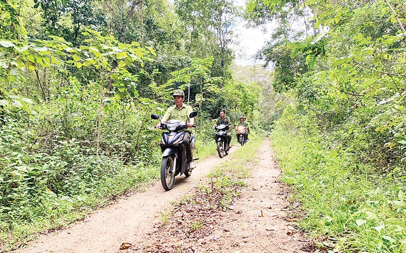 Tặng quà công nhân, lao động vùng biên giới Gia Lai ảnh 1