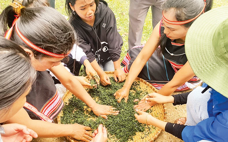 Âm thanh đại ngàn giữa lòng thành phố ảnh 1