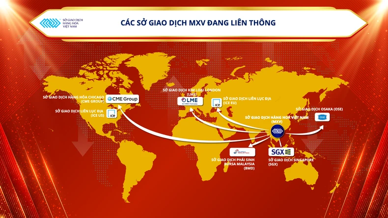 Sở Giao dịch Kim loại London chia sẻ với Việt Nam kinh nghiệm 148 năm vận hành thị trường ảnh 2